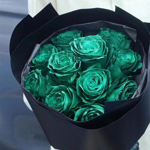 ‘.solar powered green roses,.solar powered green roses